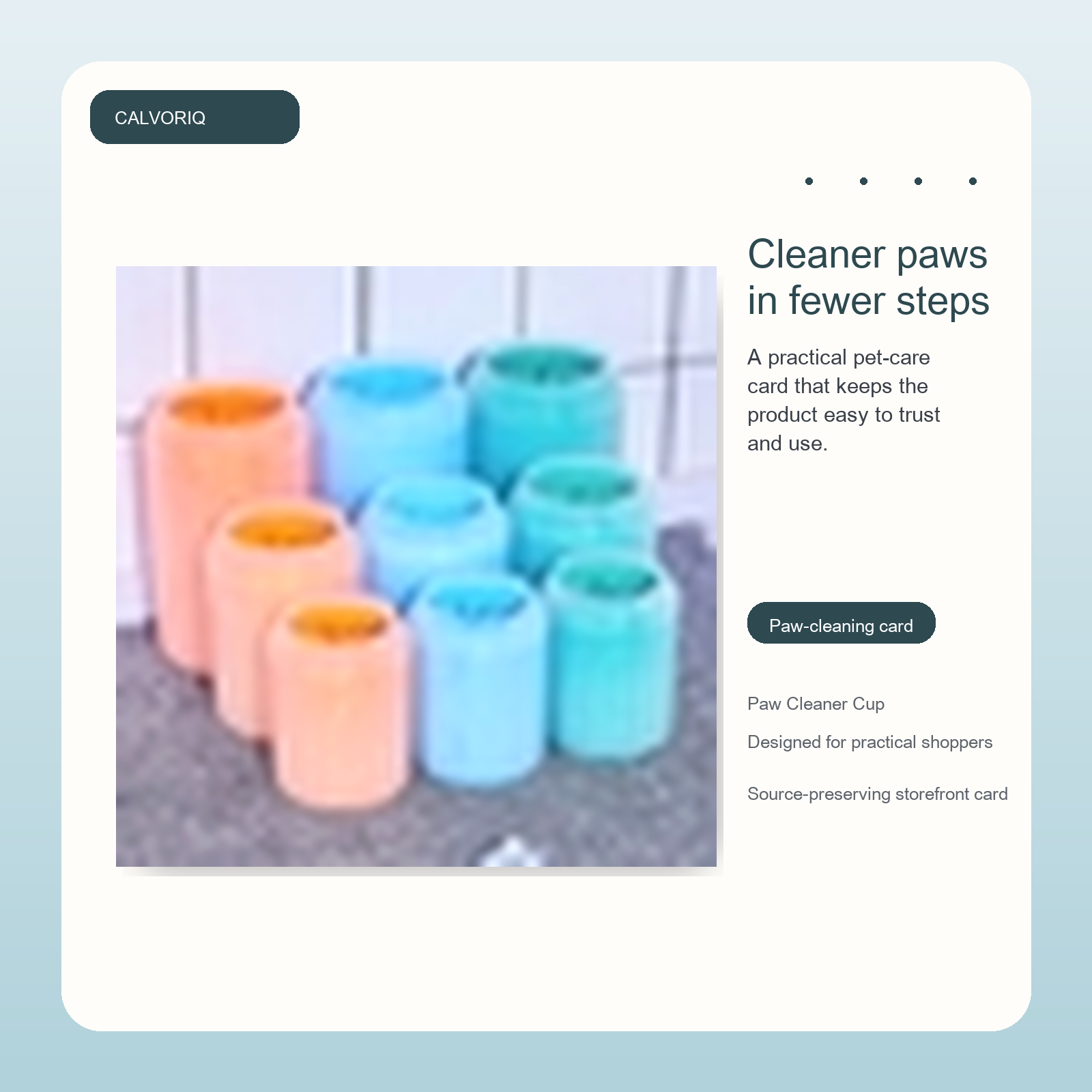 Paw Cleaner Cup