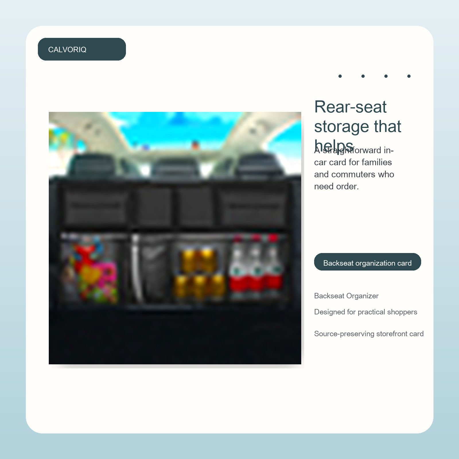 Backseat Organizer